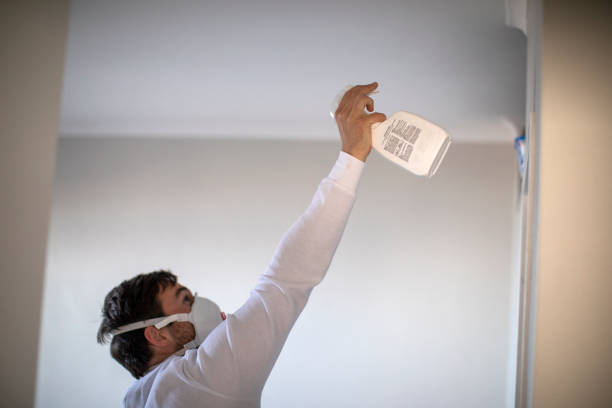 Best Best Mold Removal Companies  in Sunset, UT