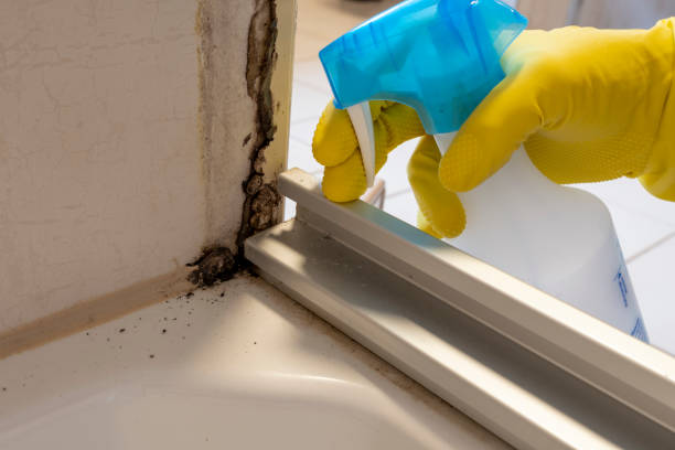 Best Office Mold Removal Services  in Sunset, UT