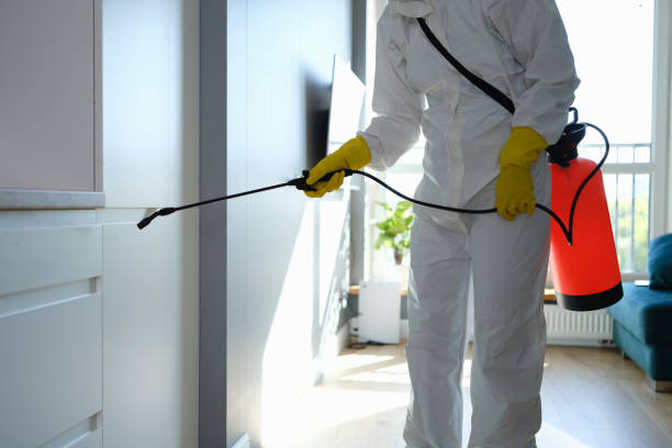 Best Fast Mold Removal  in Sunset, UT